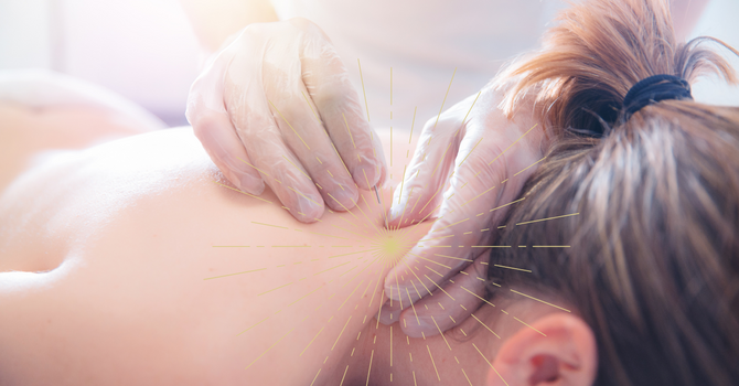 Manual Therapy