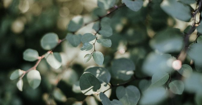 Pelvic Floor Physical Therapy