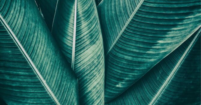 Orthopedic and Spine Physical Therapy