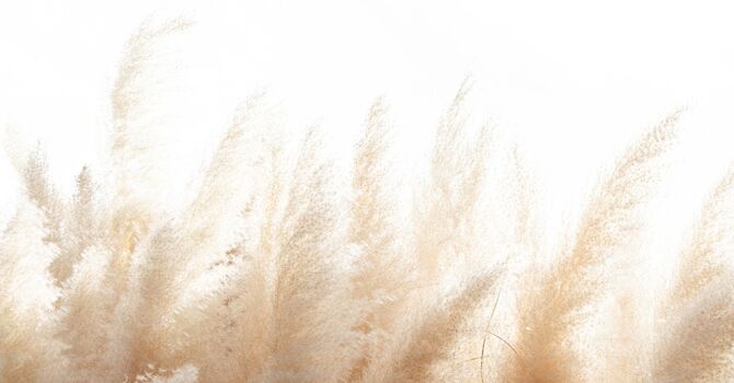 Pelvic Floor Physical Therapy